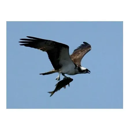 Loft-appartement Aan De Elde בית נופש