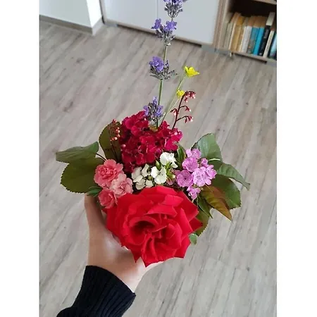 Loft-appartement Aan De Elde בית נופש *