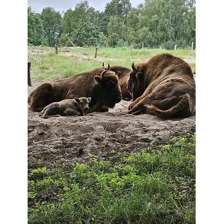 Loft-appartement Aan De Elde בית נופש פלאו אם זה