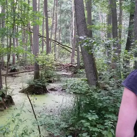 Loft-appartement Aan De Elde פלאו אם זה